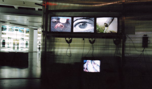Hanna Shell, Aqua Kinema, ZKM 2005.