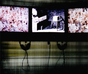 Hanna Shell, Aqua Kinema, ZKM 2005.