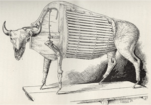 'Manikin for Male American Bison,' Hornaday (1891).