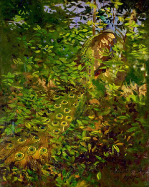 Abbott H. Thayer, 'Peacock in the Woods' (1907).